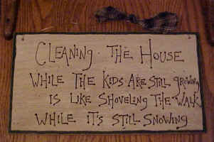 cleaninghouse.jpg (54392 bytes)